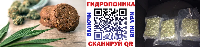 магазин    Фрязино  kraken как зайти  дарк нет Telegram  Cannafood марихуана 