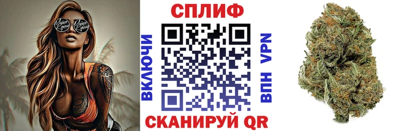 Конопля план  Фрязино 